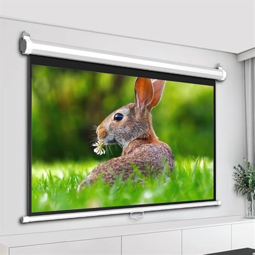 Pantalla de proyector manual 60 pulgadas 16:9 miniatura 2