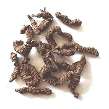 Tagar/Tagar Ganth/Valeriana Wallichi/Indian Valerian/Mushkabala/Sugandhabala 900g