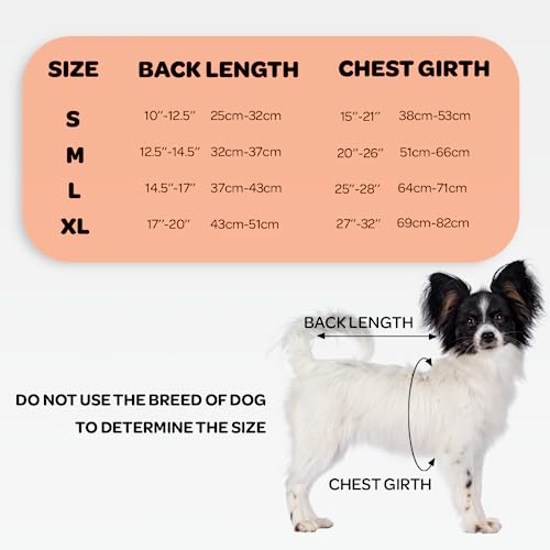 Image of NeoAlly Dog Back Brace for Dogs Arthritis, IVDD, Spinal Surgical Recovery, and Back Disease Prevention (Large)