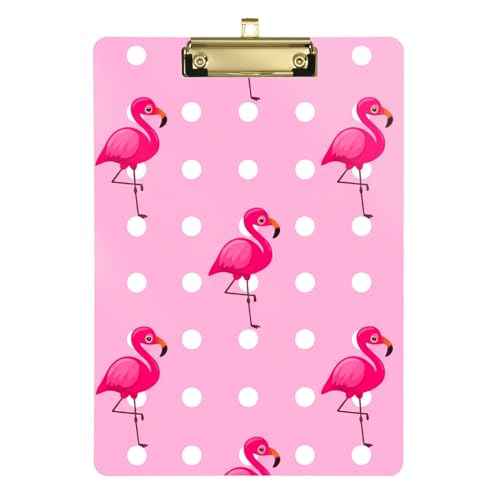 ANNbv{[h 12C` x 9C` JX^ w Nbv{[h t[Nbv{[h  G ItBX wZ ANZT[ sN t~S  Vo[