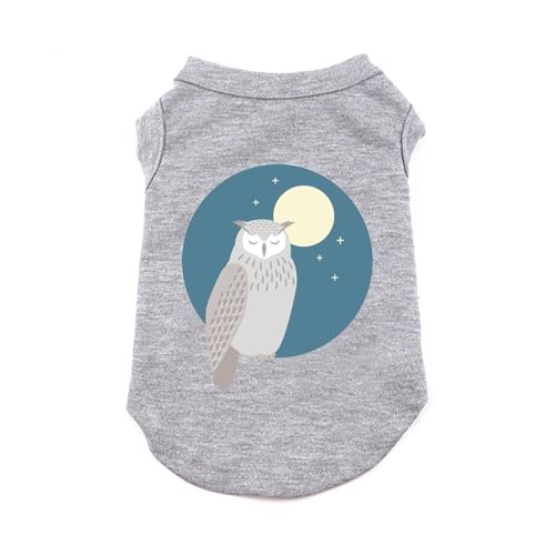 ZSDGBZ  ėp ⊴ TVc ^  ʋC  ΍ p^Ngbv t O[ Ă΍ 畆ی X|[cEFA JWA Lk  o U