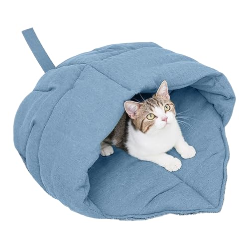 KȓALxbh􂦂鐶nꏊtfUCybg̋xeQ܉ƒpLxbh~p