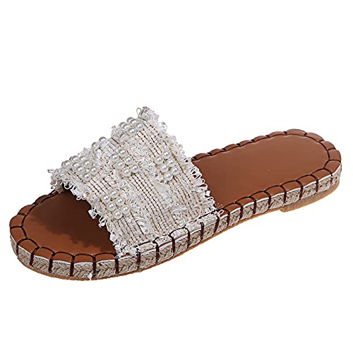 beiousalie Slippers for Women Indoor Comfortable Slip on Flip Flops for Women Beach Retro Large Size Summer Womens Shoes