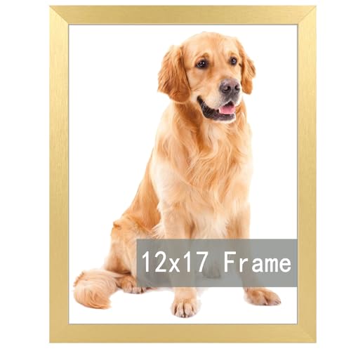 RUN HELIX 12x17 Gold Picture Frames, Photos Frame with Plexiglass, Wall Gallery Photo Frames, Horizontal and Vertical for Wall Mounting, Home Office Decoration gold 12X17inch