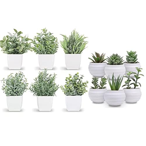 Der Rose Bundle of 6 Packs Small Fake Plants and Set of 6 Succulents Plants Artificial in Pots for Bedroom Aesthetic Living Room Office Bathroom Decor