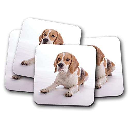 4 Set - Beautiful Beagle Dog Coaster - Puppy Hound Cute Pet Animals #15524