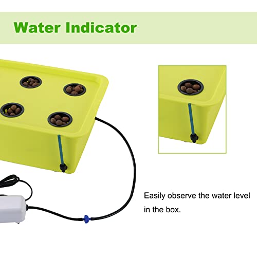 MYFULLY Hydroponic System Growing Kit | Plants Herb Garden Starter Set DIY Self Watering Indoor Hydroponics Tools with Large Bubble Stone Rockwool Bucket Air Pump (6 Sites) - Image 5