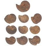 Adornos de modelos elaborados con meticulosa atención a los detalles, que se asemejan a hojas bellamente pulidas e intrincadas, de ciencia