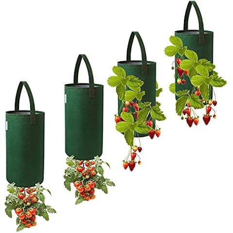 Pri Gardens Upside Down Tomato Planter & Strawberry Planter Combo, 2 Each Cover