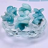 Zoom IMG-1 kigauru cristallo naturale grezzo aquila Zoom IMG-1 kigauru cristallo naturale grezzo aquila