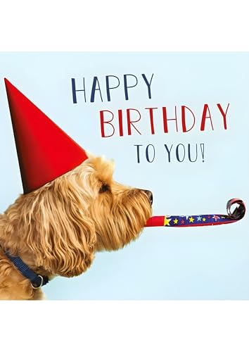 Abacus Cards Male/Female Funny Open 'Happy Birthday' Greeting Card - From The Rapture Range - 'Birthday Dog' Cockapoo Party Hat - Suitable For Any Recipient