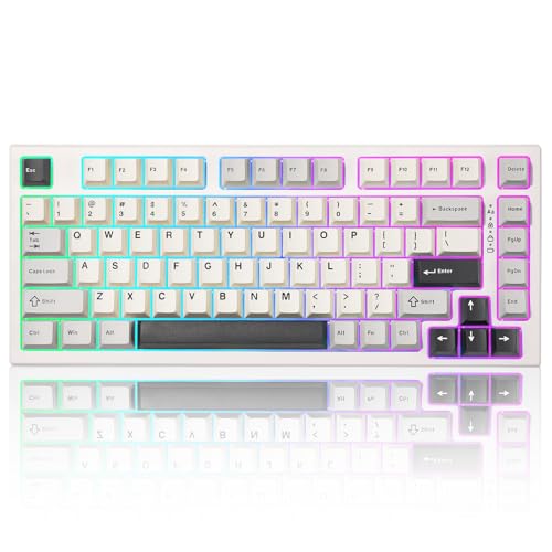 YUNZII RT80 - Teclado para gaming inalámbrico con interruptor magnético efecto Hall de encendido, 82 teclas Bluetooth/2,4 GHz/Wired RGB teclado, junta de montaje del teclado mecánico (blanco)