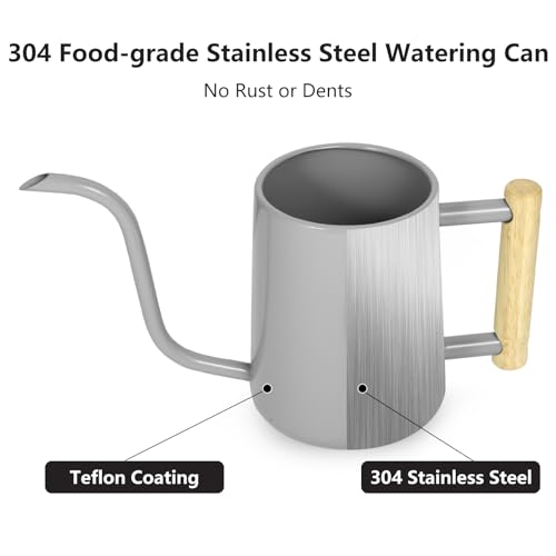 Image of Watering Can Indoor Plants, 35 oz /1000 ml Metal Stainless Steel Watering Can Pot with Long Spout for Indoor House Plants Bonsai Outdoor Garden Flower Decorative (Gray)