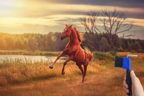 Bryhzkcm Horse Hoof Pick Brush With Soft Touch Rubber Handle,Portable Hoofpick,3Pieces,Random Colors #TOP4