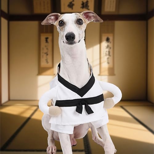 Disfraz artes marciales para perro talla L miniatura 5