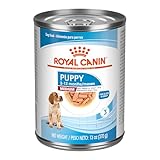 Royal Canin Size Health Nutrition Medium Puppy Thin Slices in Gravy Dog Food, 13 oz (Pack of 12)