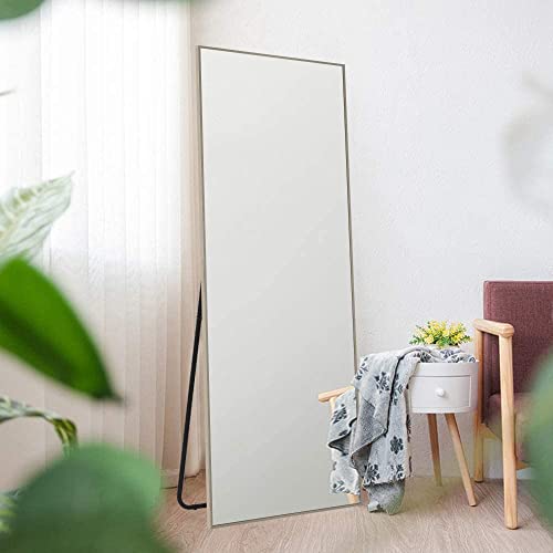 Image of NeuType Full Length Bedroom Wall-Mounted Floor Mirror with Standing Holder (Matte Champagne)