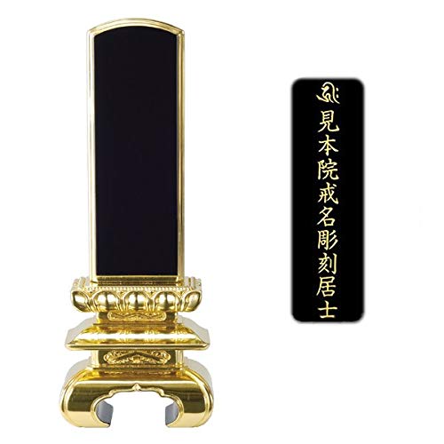 d͂₵ hʔv  O 4.0 y ㍞ (1앪) z yZbgi d͂₵IWiNXtz