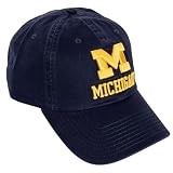 Desert Cactus University of Michigan Embroidered Baseball Hat (L1) Blue
