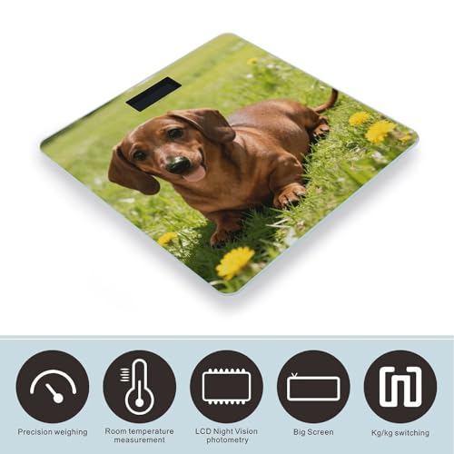 Báscula digital para baño Cute Dachshund con pantalla LCD miniatura 3
