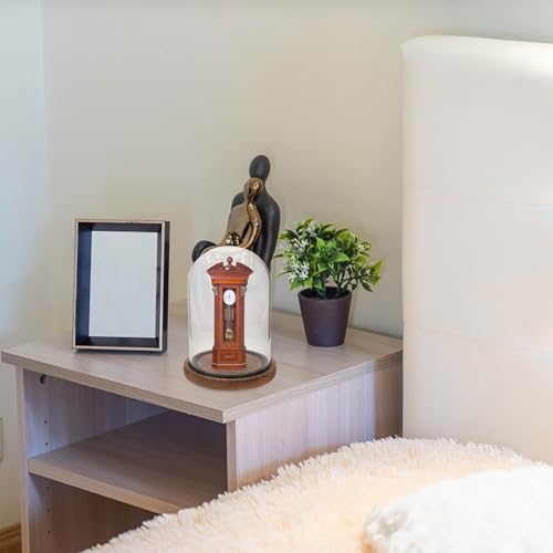 Cloche de présentation en verre avec socle en bois dôme anti-poussière