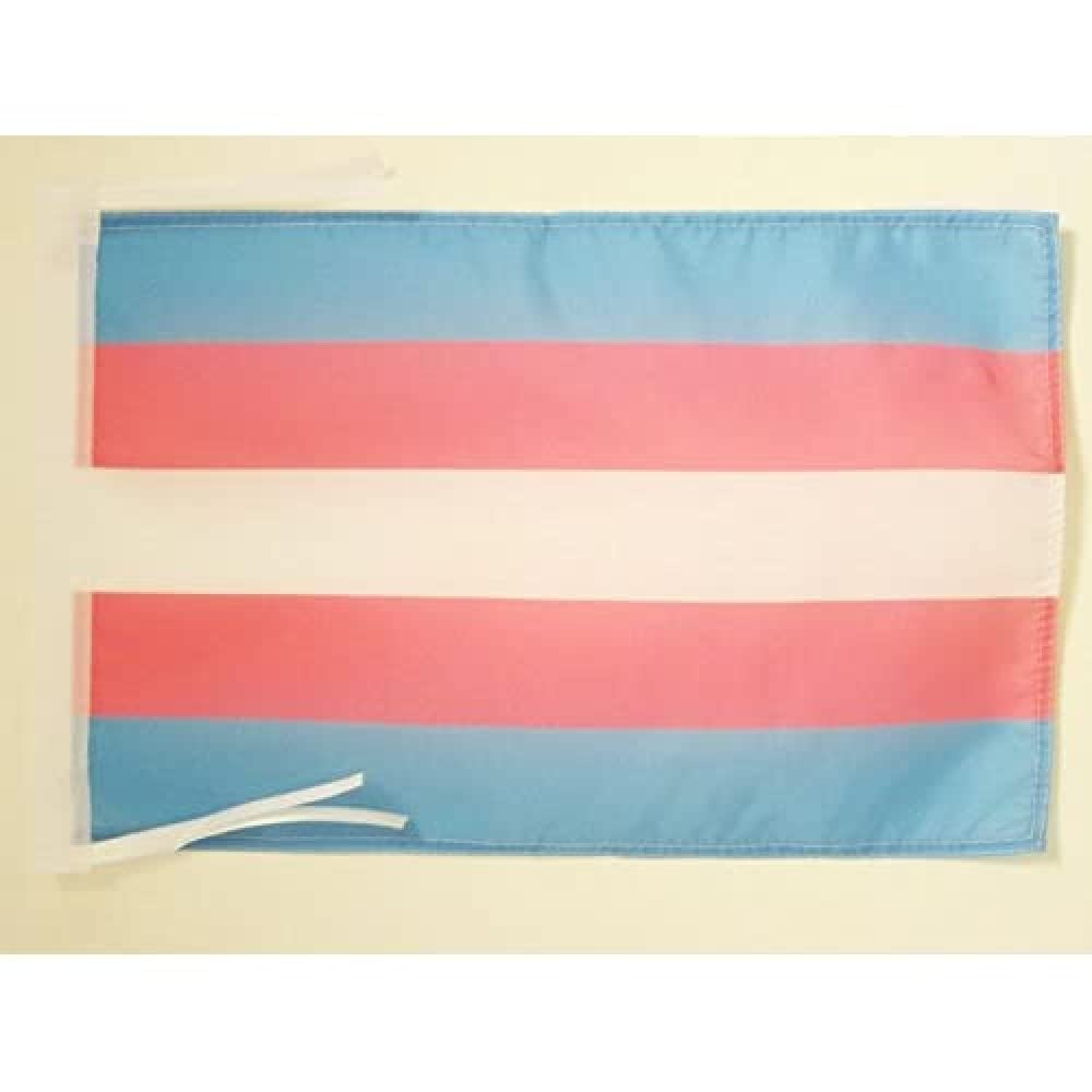 Iran Old Persia Flag 18'' x 12'' cords - Persian SMALL flags 30 x 45cm - Banner 18x12 in - AZ FLAG — view 239