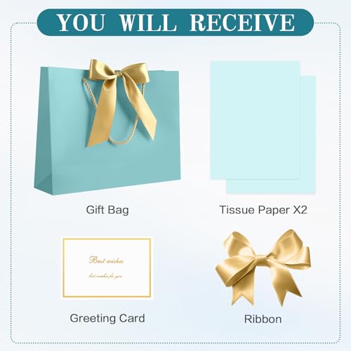Image of JMANNI Gift Bags with Handles, 13 inch Medium Gift Bag for Presents, 1 Pcs Bags with 2 Tissue Paper and 1 Cards for Graduation Baby Shower Wedding Fathers Day Mother's Day Birthday Party (Baby Blue