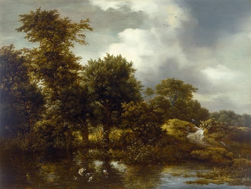 Affiche paysage boisé avec un étang Jacob Van Ruisdael impression toile décoration mural 60x90