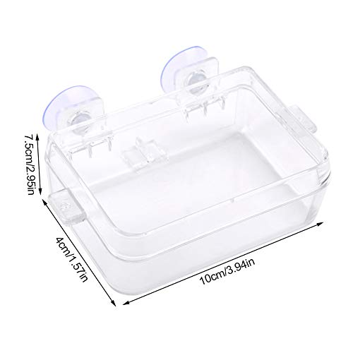 Reptile Basin, ABS Bait Basin Reptile Food Bowl, Worm Feeding Basin Transparente para colocar larvas
