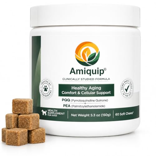 Amiquip® Senior Dog Supplement – Longevity, Comfort, Mobility & Joint Support | Clinically Studied PQQ & Palmitoylethanolamide Formula | 60 Soft Chews for Healthy Aging