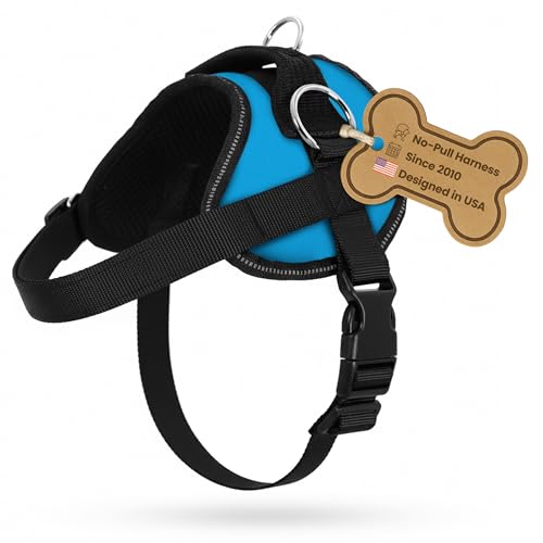 Bark Appeal Aqua Blue No-Pull Dog Harness for Medium to Large Sized Pets – Adjustable, Reflective Vest with 3 Leash Clips for Added Control, Easy Walks & Training – Large