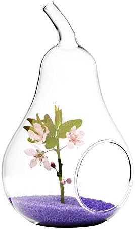 Pear Shaped Tabletop Glass Air Plant Terrarium, hydroponic plant vase bottle For Home Decor 6"H 4" DIA