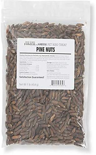DRS. Foster and Smith Pine Nuts for Birds, 1 pounds