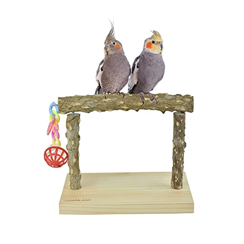 Nature Wood Parrot Table Training Perches Stands, Birdcage Stands with Foraging Bell Toys, Birds Foot Toy Stands, Parakeet Playground Conure Table Scale Perches for Budgies Cockatiel Lovebirds Finch
