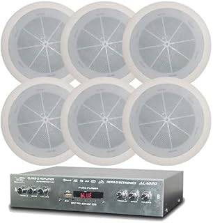 Hero Electronics HEROSound System 6 Spot 318 and al-4020 amplifier