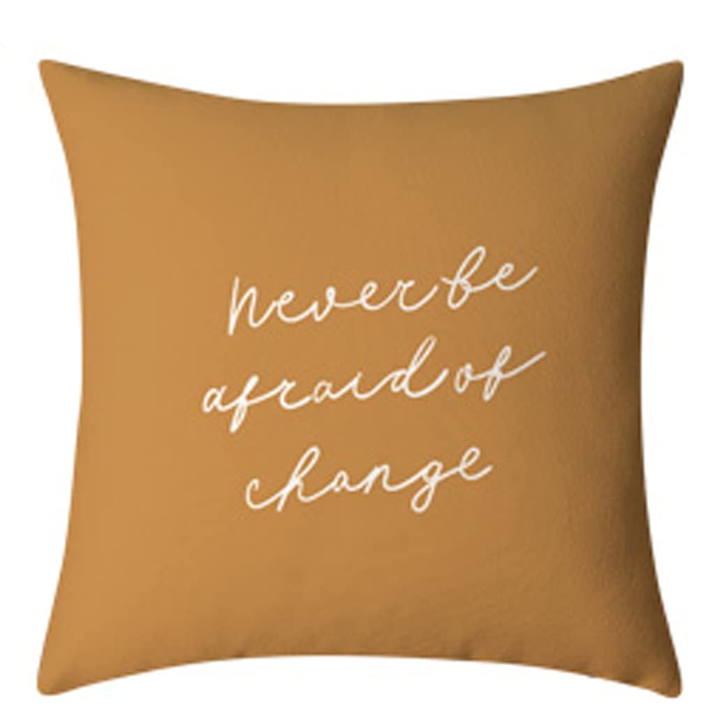 Coussin de coton compact pour soulager le dos sur un petit canapé