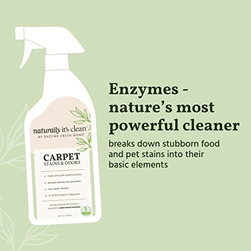 The 29 Best Foam Carpet Cleaners of 2024 [Verified] Cherry Picks