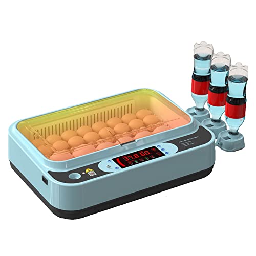 Incubateur d'oeufs entièrement automatique pour 64 oeufs de poule