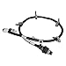 ACDelco GM Original Equipment 19177091 Front ABS Wheel Speed Sensor Wiring Harness