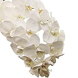 Größe: 28,3 Zoll / 74 cm Länge, Blütenlänge 13,7 Zoll / 35 cm