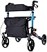 BRFDC Caddie Course Panier Panier léger Aluminium Pliant Rollator 2-in-1 Panier et Chaise de Transit avec Hauteur réglable pour Une Utilisation en extérieur