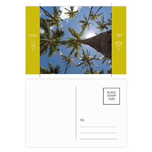 Cartes postales arbres soleil bleu ciel pour remerciements DIYthinker 20pcs