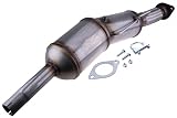NTY Ruß-/Partikelfilter, Abgasanlage DPF-RE-005
