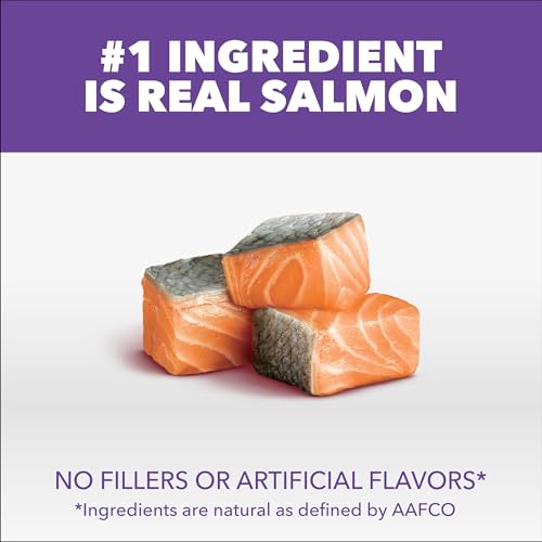 Image of IAMS Proactive Health Healthy Kitten Dry Cat Food Salmon Recipe, 3.5 lb. Bag