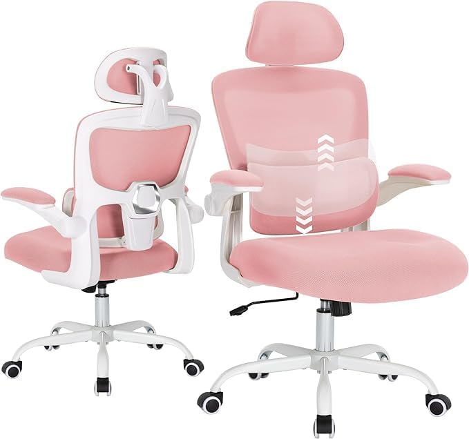 SANODESK Ergonomic Mesh Office Chair components