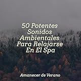 Amanecer de Verano