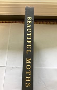 Hardcover Beautiful Moths Book