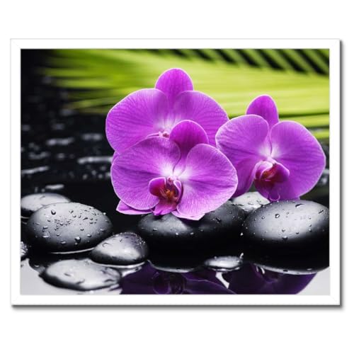 Orchidée sur pierres poster encadré nature pour créer un salon zen et moderne