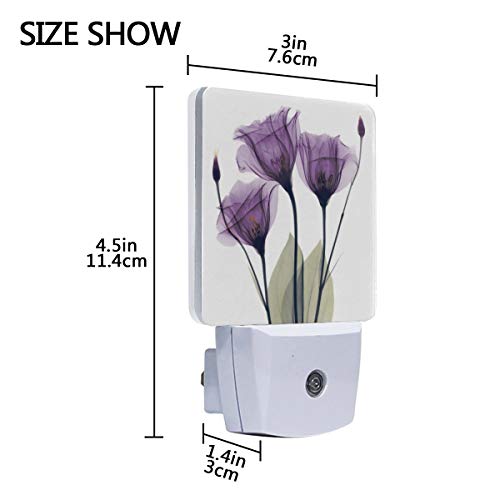 2 Pack Plug-In Led Night Light Lamp With Light Sensor, Lavender Hope Flowers Daylight White For Bedroom, Bathroom, Hallway, Stairways, 0.5W, Purple #TOP3