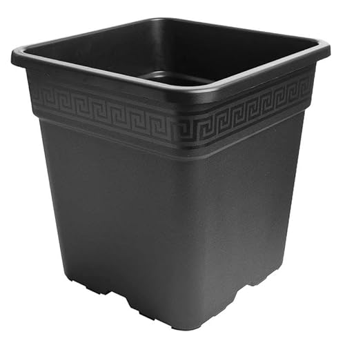 Pot carré 25 litres - Nuova pasquini e bini spa Cover